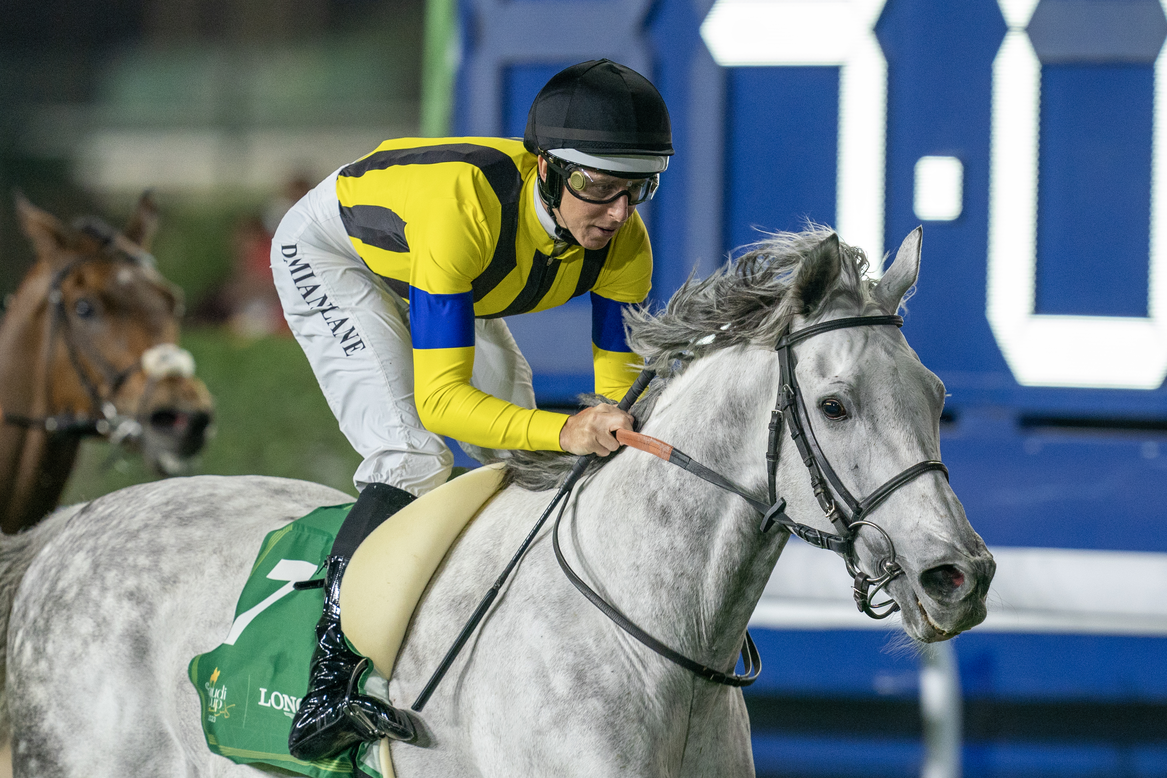 Silver Strikes Gold In Longines Red Sea Turf Peter Ellis Racing